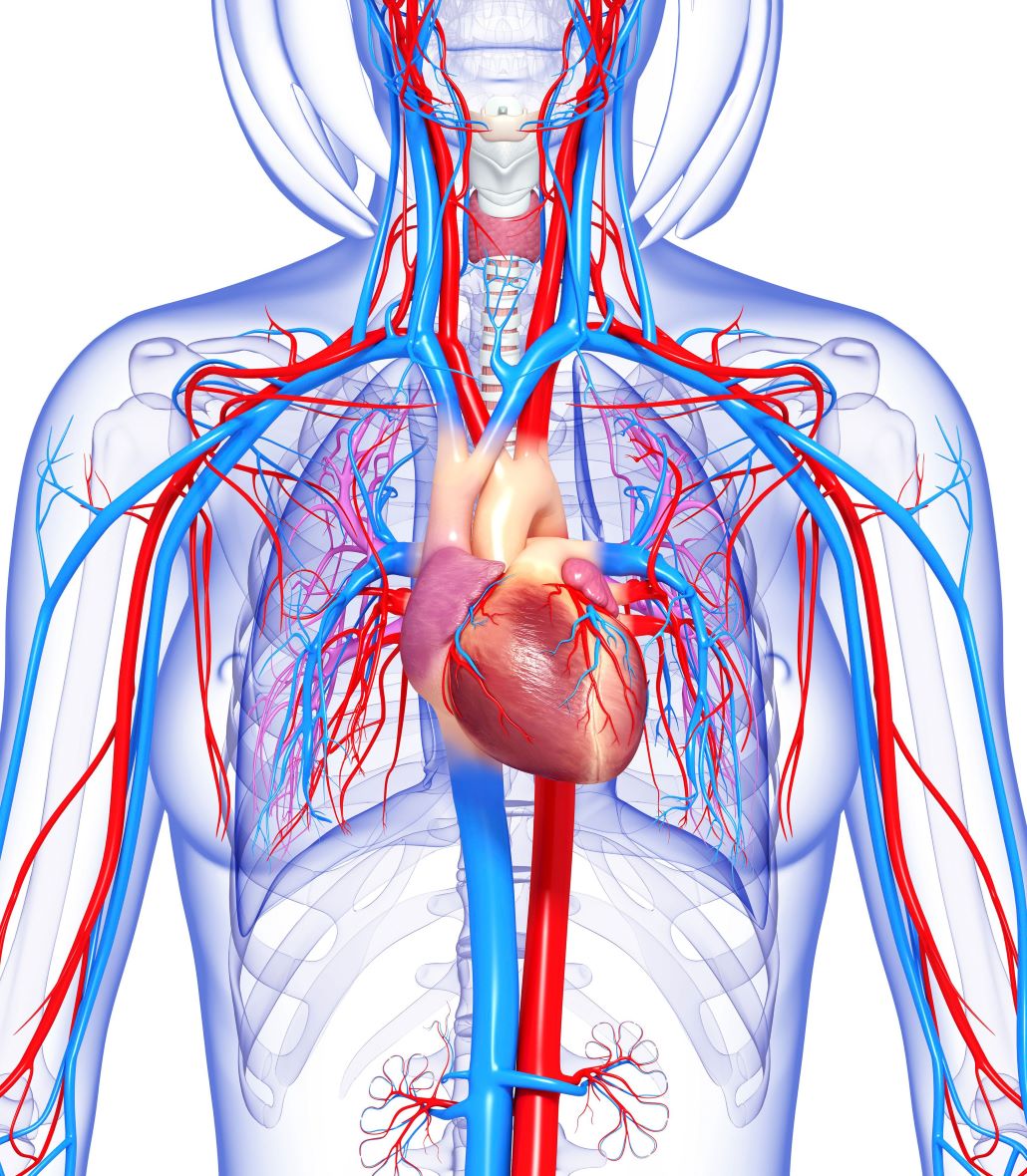 Respiratory System & ICU Nursing