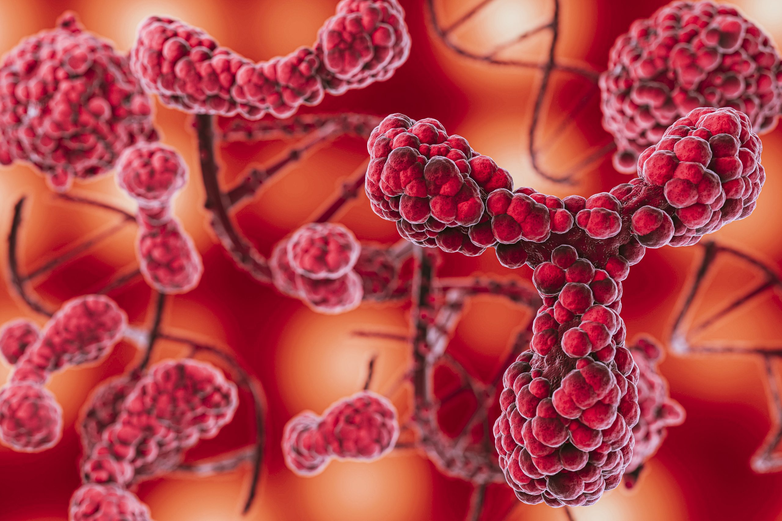 Hematologic & Immune System