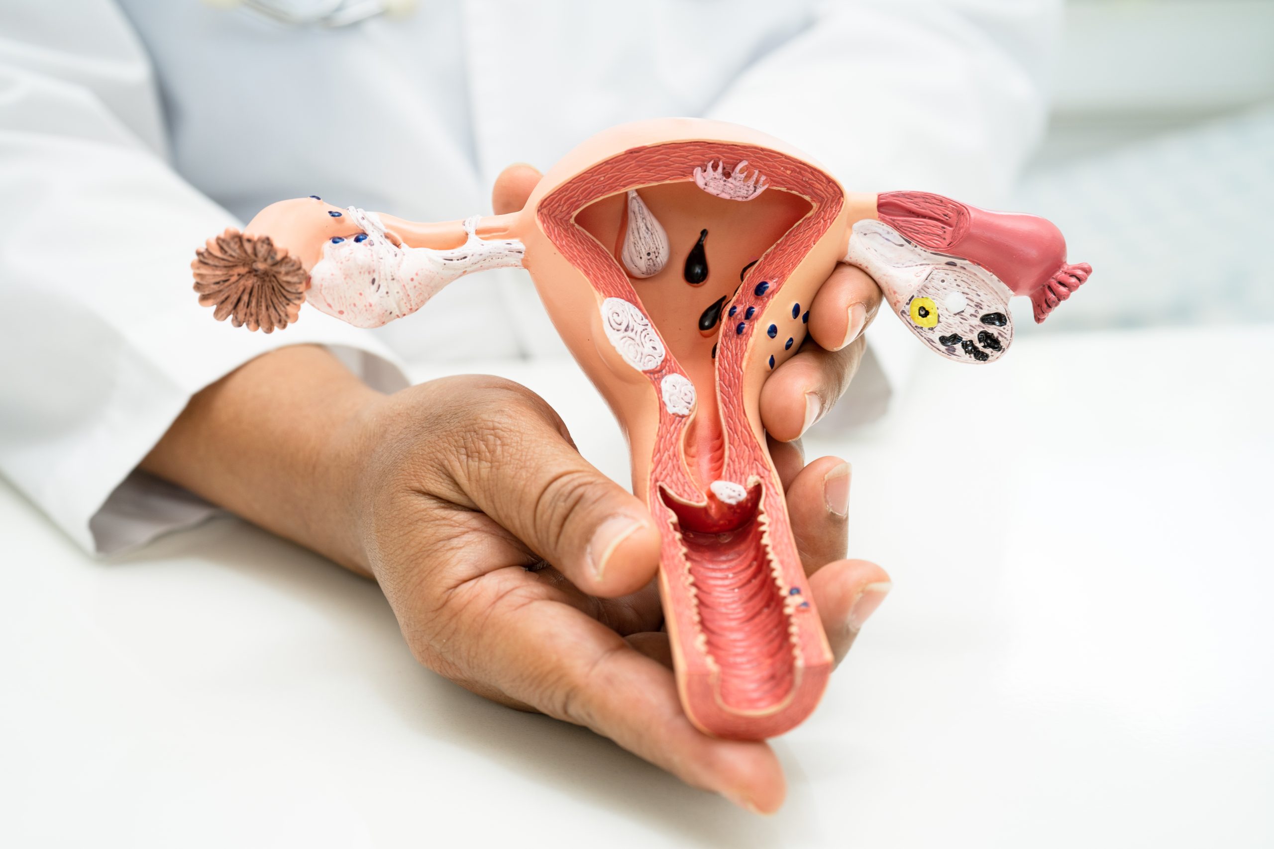 Endocrine System